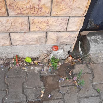 Edremit Belediyesi Altınoluk Temizlik Sorunu