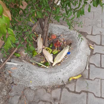 Edremit Belediyesi Altınoluk Temizlik Sorunu