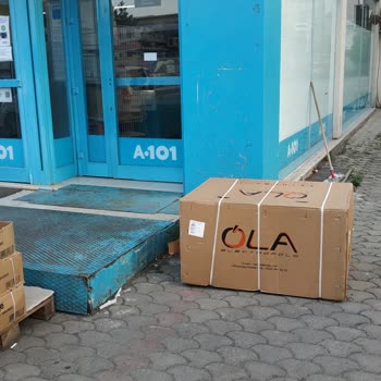 Ola Motor Elektrikli Bisiklet Sorunu