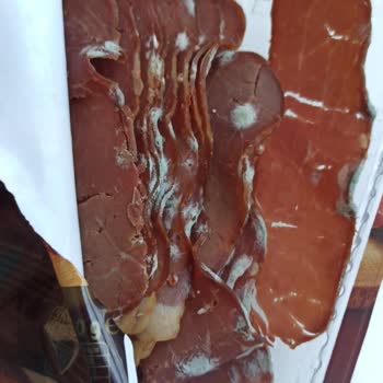 Beşler Sucuk Bozulmuş Ve Küflenmiş Gıda