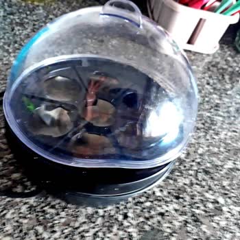 Sinbo Seb-5803 Yumurta Pişirme Makinesi Kapak Eğilmesi