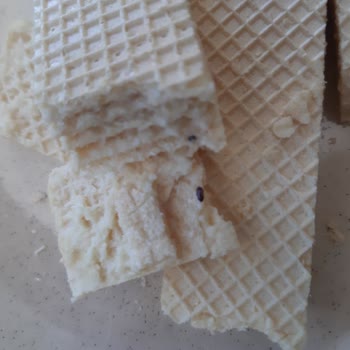 Oylum Gofret Diye Böcek Yediriyor!