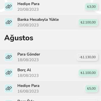 Nays Ödenen Borç Sistemde Gözüküyor