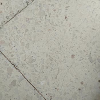 Xiaomi Mi Robot Vacuum S10T Robot Süpürge Şikayeti