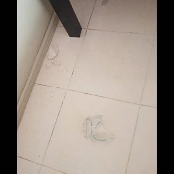 Airbnb Haksız Talep