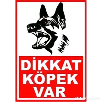 TikTok Allah'a Hakaret Gereğini Arz Ederim