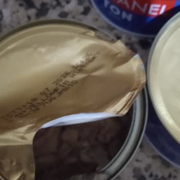 Dardanel Balıktan Çıkan Siyah Et Parçaları Bu Nedir