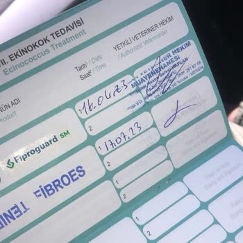 Petical Hayvan Hastanesi Yalan Ve Para Peşinde Olan Veterinerler Hayvan Hastanesi Adında