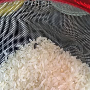 A101 Mağazacılık Ayıplı Ürün Satması Ve Geri Dönüş Yapmaması!