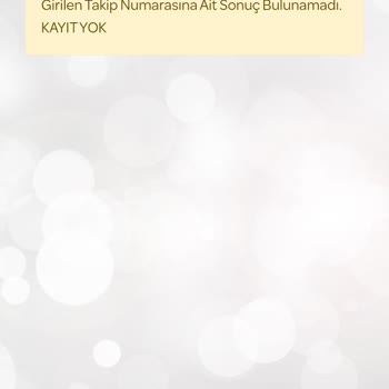 İstanbul Kart Kargoya Verildi Yazan Öğrenci AKBİL Başvurum Gözükmüyor