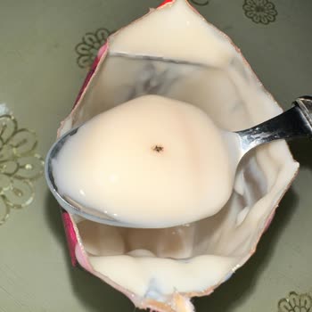 İçim İçinden Böcek Çıktı