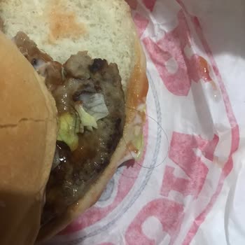 Trendyol Salon Burger Kıl Çıkması Ve Isırılmış