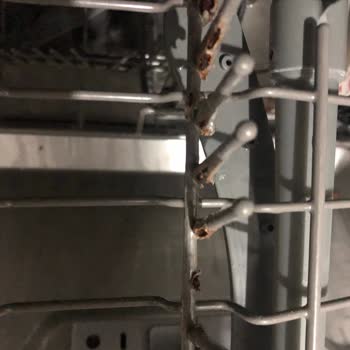 Teka Dw 605 S Ankastre Bulaşık Makinesinin Sepetinde Paslanması
