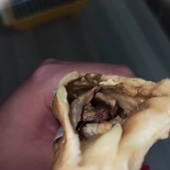 Domino's Pizza Plastik Cisim Çıktı