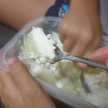 Carte d'OR Vanilla Icecream Taste Sour and Spoiled