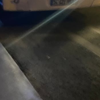 Havaist Hem Kaba Hem İşini Düzgün Yapamıyor