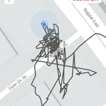 Martı Scooter Sürüş Bitirememek