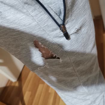 Foça Belediyesi Başıboş Saldırgan Sokak Köpekleri