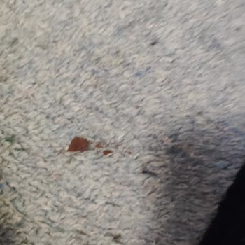 Hotel Nil (Akyaka) Hotel Değil Kir Yuvası.