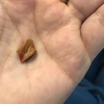 Mom's Natural Foods MOM’S Natural Foods Granola