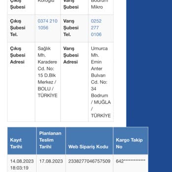 Sürat Kargo'nun Dağıtım Sorunu