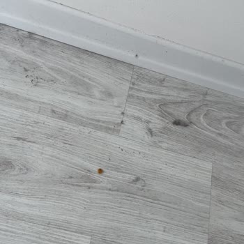 Eleman Yönlendir Temizlik Yok Şikayet İle İlgilenme Yok