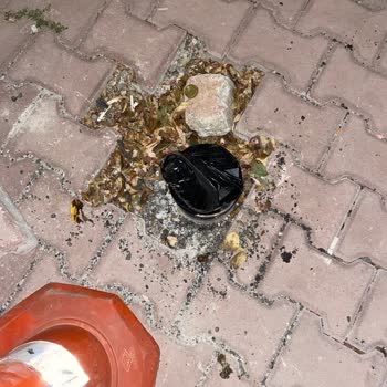 Konya MEPAŞ Sokak Aydınlatma Problemi