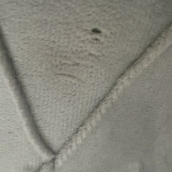 Canisa Concept Mutfak Masa Takımı Yırtık Ürün Sorunu