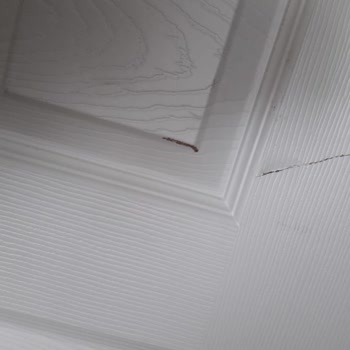 Koçtaş İade Talebimin Edilmemesi