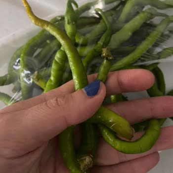Trendyol Hızlı Marketten Aldığım Ürünlerin Durumu Çok Kötü