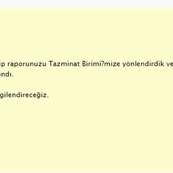 Türk Hava Yolları Bagaj Hasarı