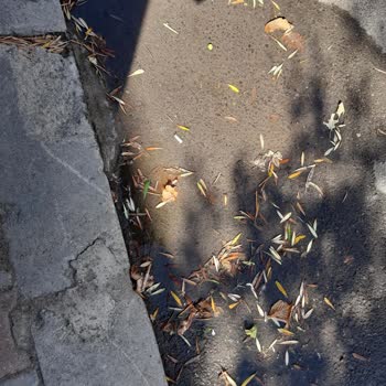 İzmir Büyükşehir Belediyesi Sokakta Su Patlağı Var