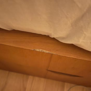 Reva Design Mobilya Şikayeti