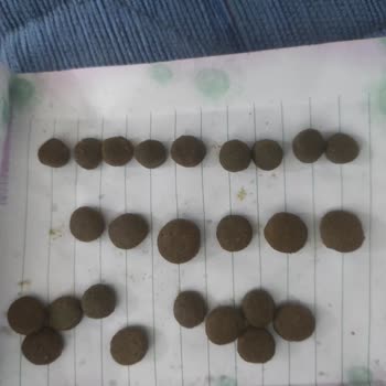 Farmina Mamada Orijinallik Sorunu