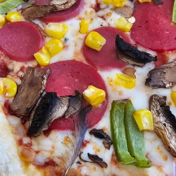 Terra Pizza Pizzadan Kuş Tüyü Çıktı