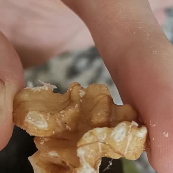 Simbat Kuruyemiş BİM Marketten Aldığım Kurtlanmış Ceviz İçi