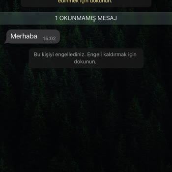 WhatsApp'tan +62 Kod İle Başlayan Numaralardan Gelen Mesaj