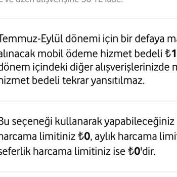 Her Şey Yanımda Limitim 350 TL Fakat 0 Olarak Görünüyor