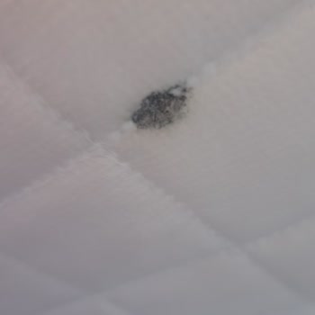 Yataş Alez Defolu Gönderildi