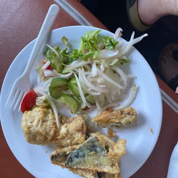 Sato Tekne Turu Memnuniyetsizliği