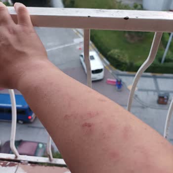 Sağlık Bakanlığı May Beauty Zeytinburnu Şubesi Hakkında Şikayet