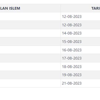 Skechers Tarafıma Teslim Edilmeyen Ayakkabılar İçin Yardımcı Olmuyor