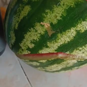 Getir Uygulaması Bozuk Karpuz Getirdi