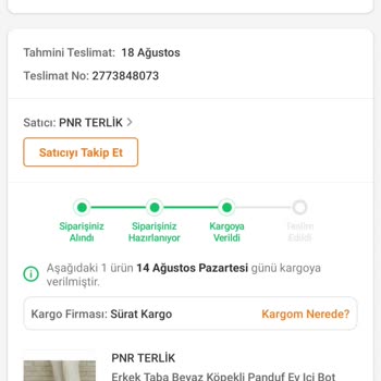 Sürat Kargo Kargom Teslim Edilmedi