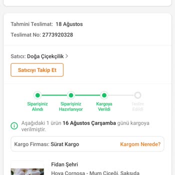 Sürat Kargo Kargom Teslim Edilmedi