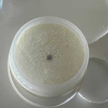 Peynirci Babada Küflü Yoğurt