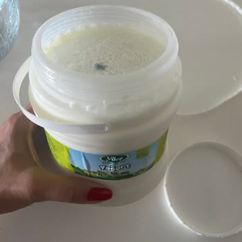 Peynirci Babada Küflü Yoğurt