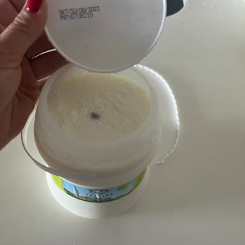 Peynirci Babada Küflü Yoğurt