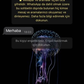 WhatsApp +62 878-3922-70566 Numaralı Telefondan Gelen "merhaba" Mesajı