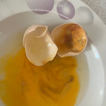 A101 Çürük Yumurta Satıyor